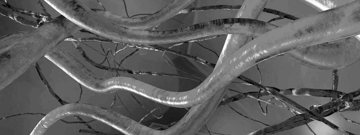 Vascular Page Banner