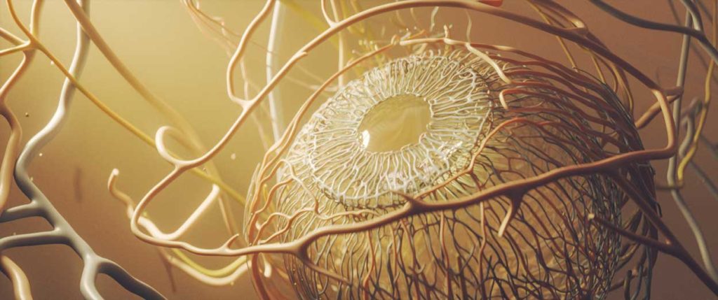 Ophthalmology Page Banner