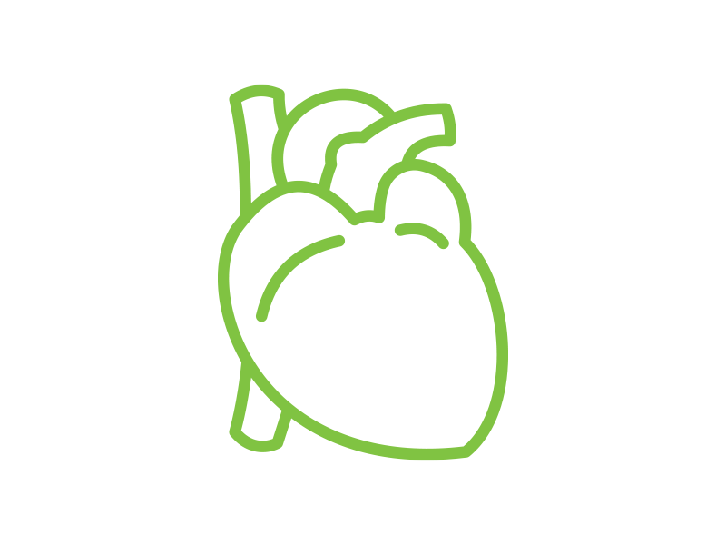Cardiology Heart Icon