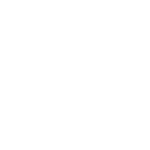 Peripheral Vascular Icon